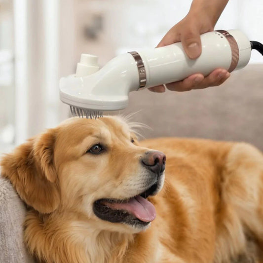 VICTORIBUS™ Pet Hair Dryer