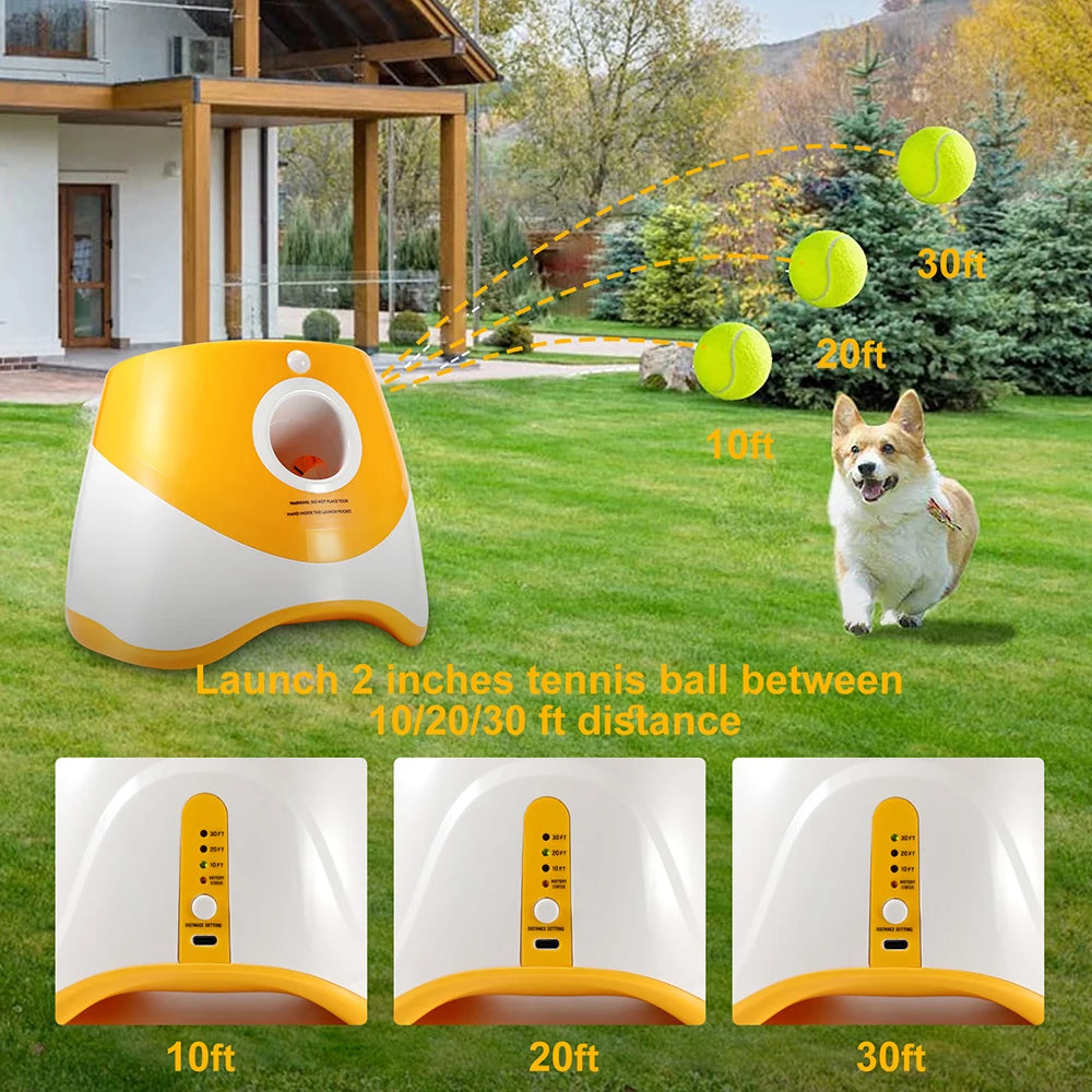 VICTORIBUS™ Automatic Throwing Machine for Pet